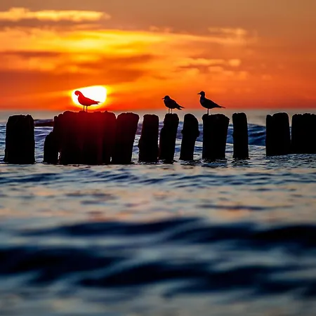 Whiteblue 41 Blizej Morza *