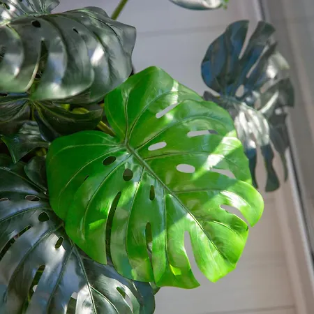 Whiteblue 41 Blizej Morza コウォブジェク